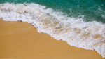 浪花