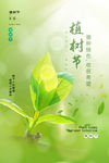 植树节