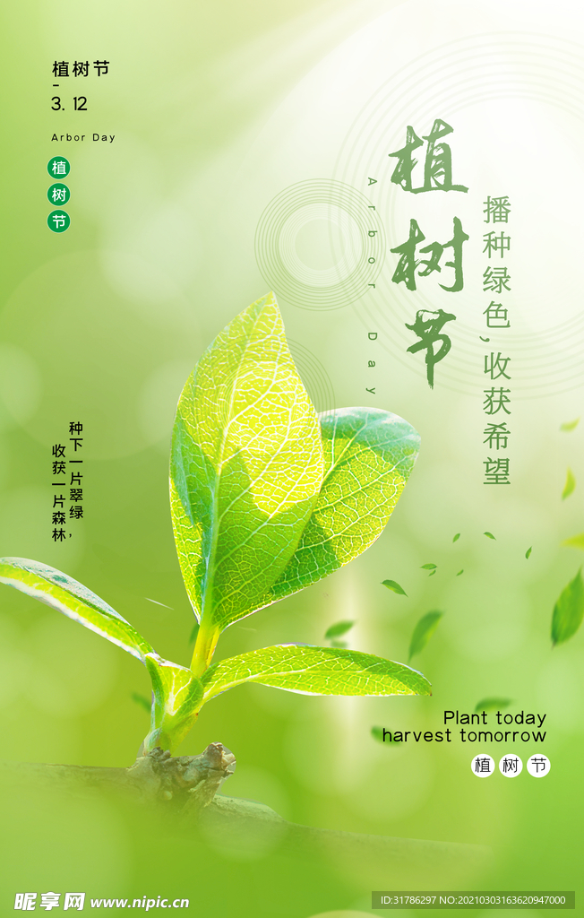 植树节