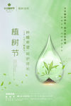 植树节