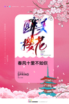 赏樱花