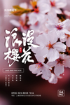 赏樱花
