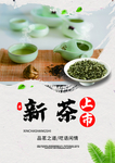 春茶上市