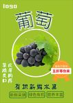 葡萄海报
