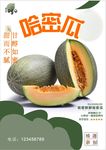 哈密瓜海报