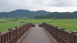 田园
