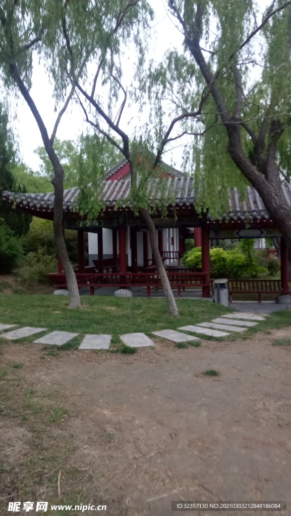 风景
