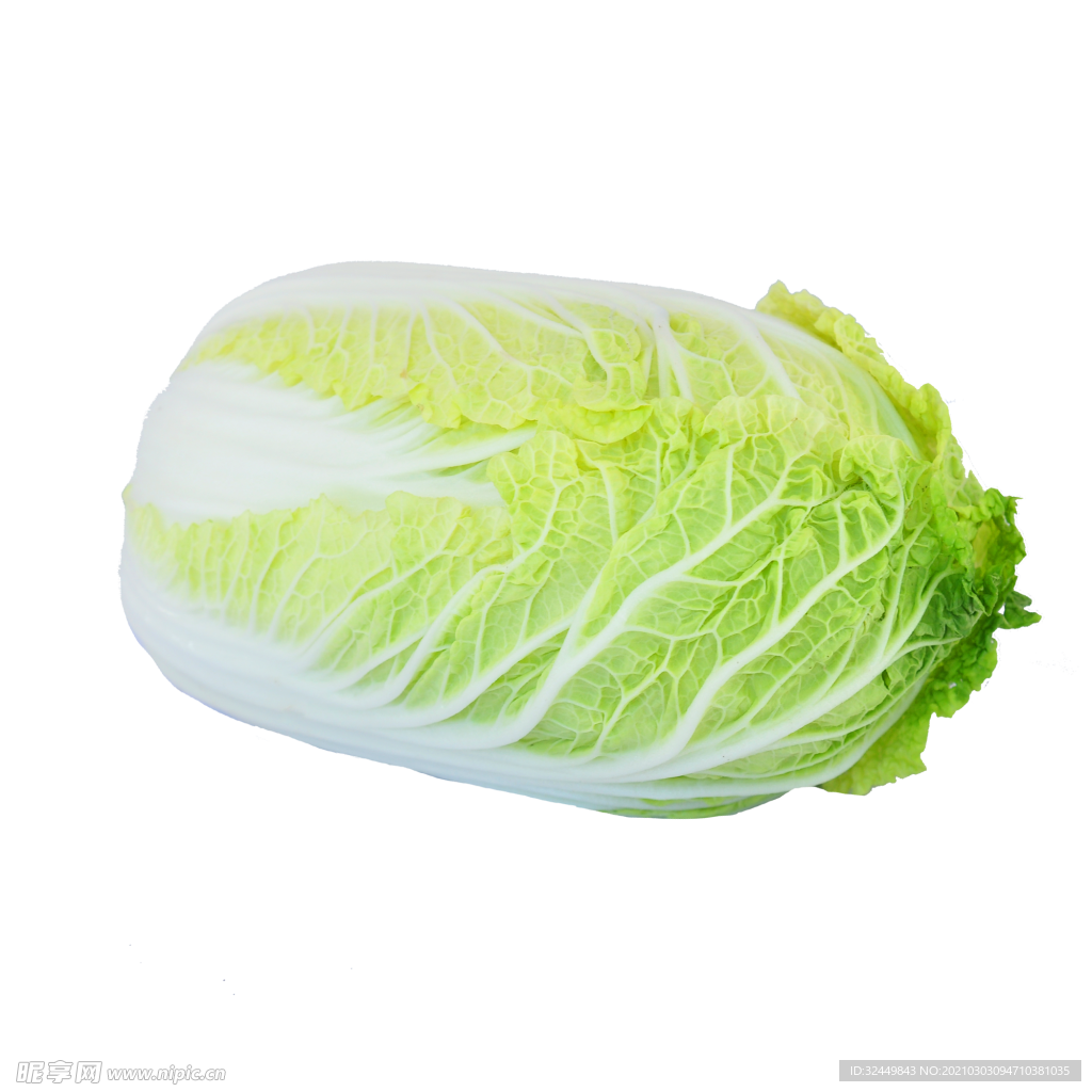 白菜
