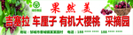 车厘子樱桃采摘园