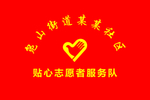 志愿者队旗