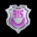 诚信315