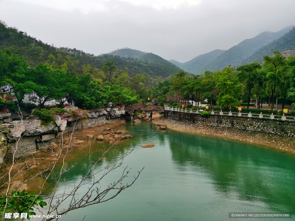 金台寺放生湖