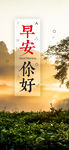 你好  早安
