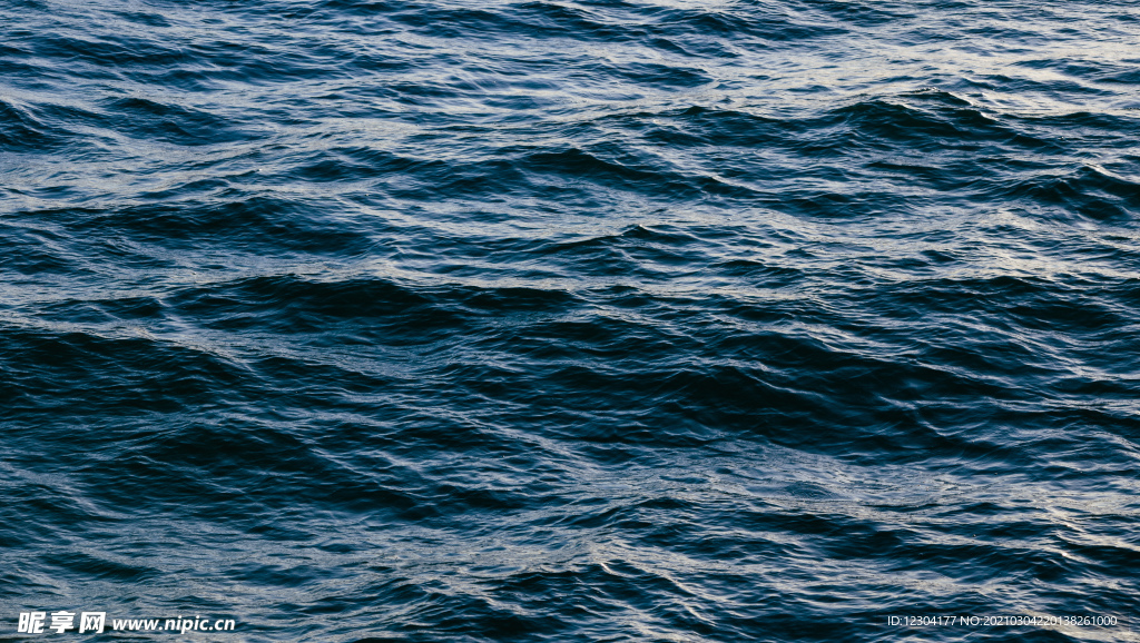 海