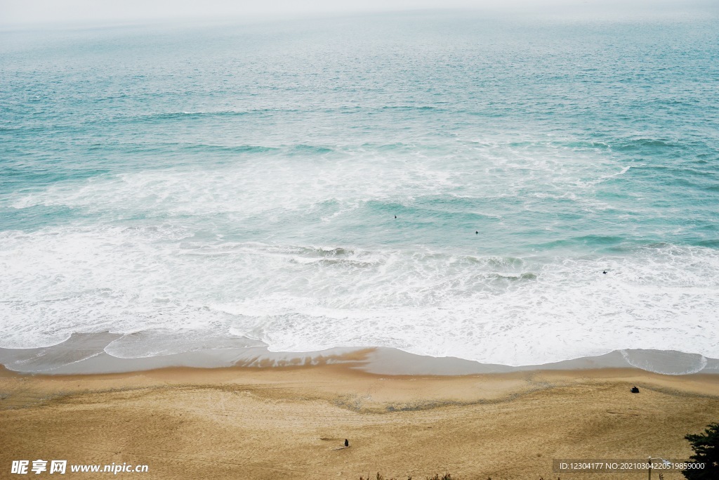 海