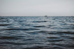 海