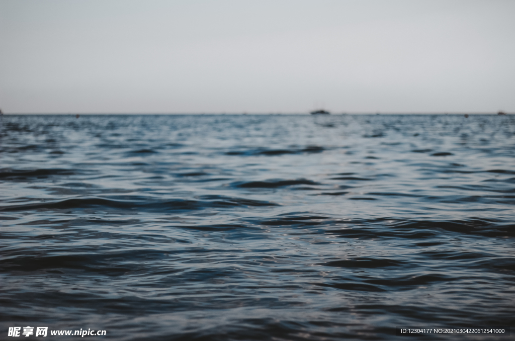 海