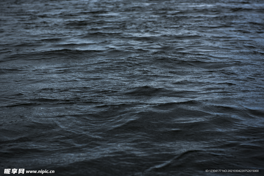 海