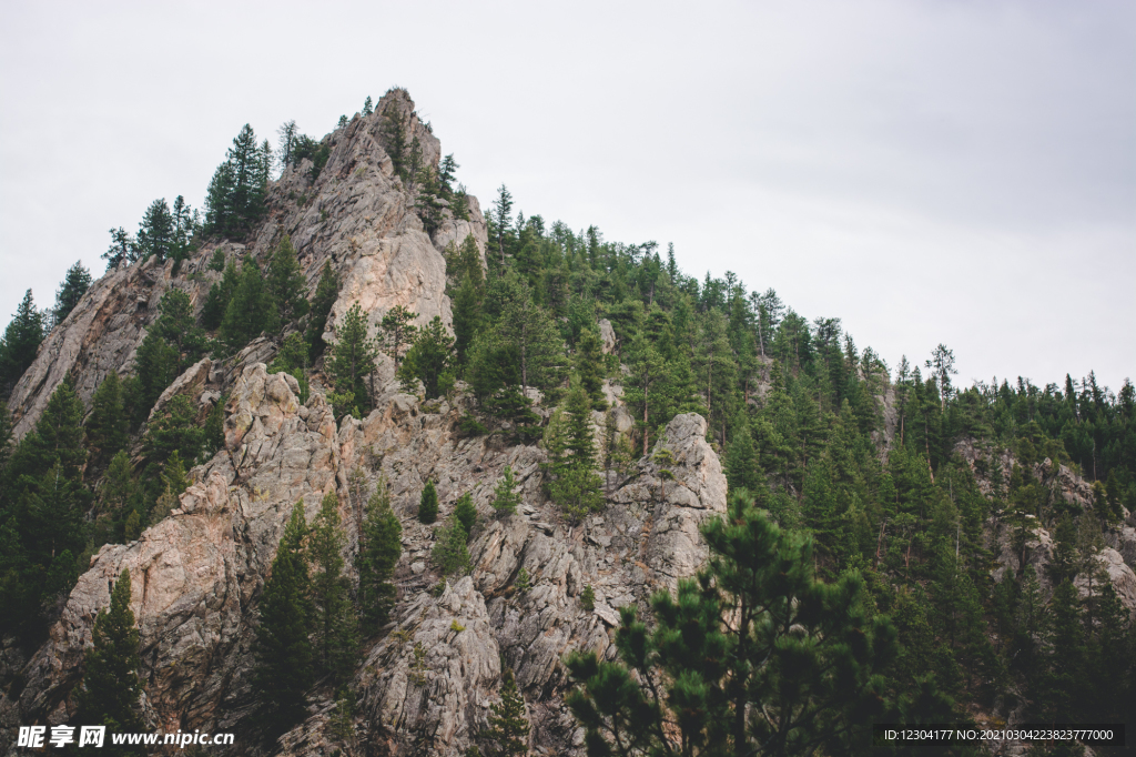 山