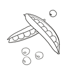 豌豆