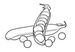 豌豆