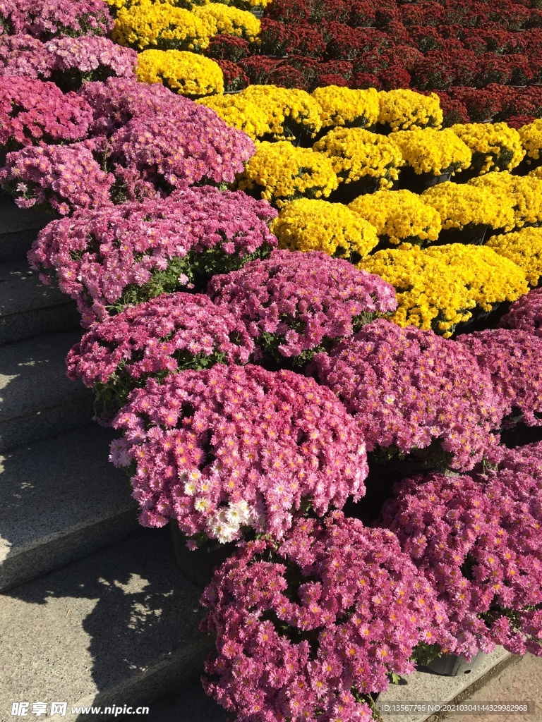 花