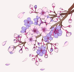 唯美樱花插画