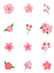 漂亮的粉色花朵插画