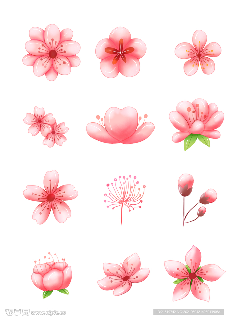 一组粉色的花朵插画