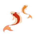 锦鲤插画