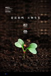 惊蛰