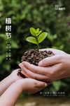 植树节