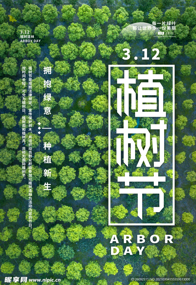 植树节