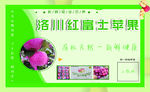 苹果名片