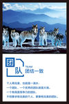 团队公司企业文化态度展板