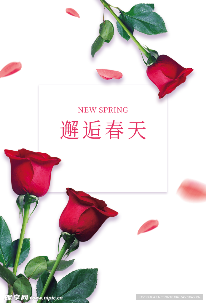春分素材