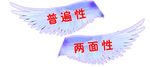 翅膀