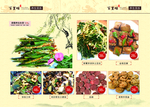 菜牌 古典 菜谱 黄色 水墨