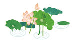 荷花插画