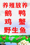 生态养殖场家庭农场