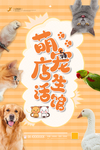 宠物
