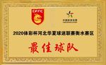华夏之翼足球队金箔