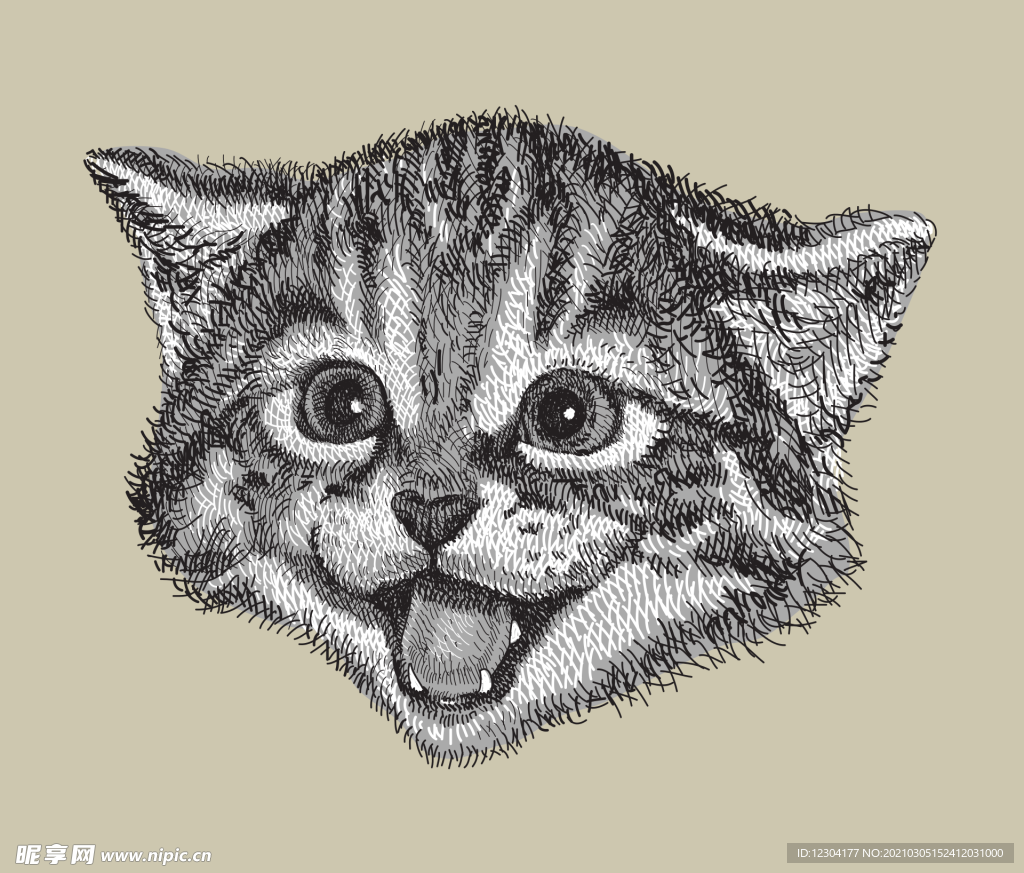 猫