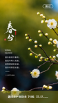 春分海报