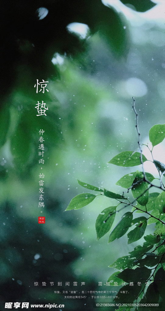 惊蛰节气海报