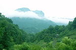 小秦寨