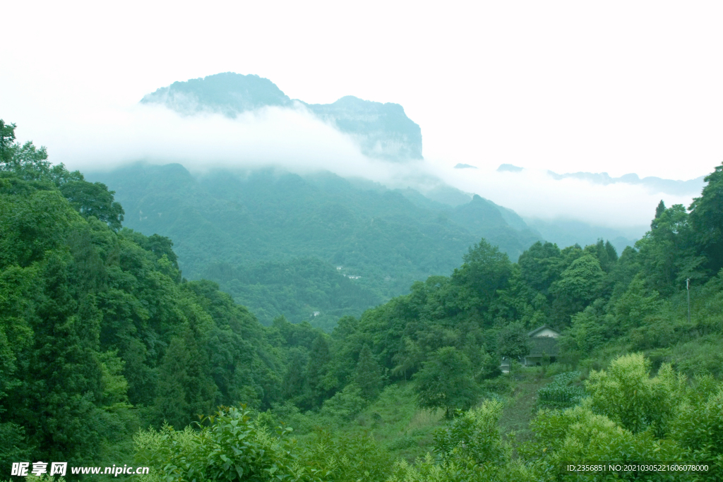 小秦寨