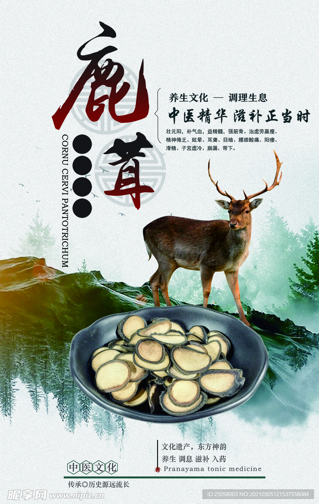 鹿茸海报