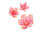 春天素材