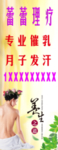 ；灯箱养生图